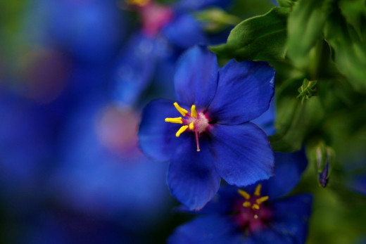649315 (a): :2400x1600